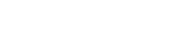 Besnek Jiu Jitsu